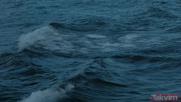 Titanic böyle yapılsaydı batmaz mıydı? Bilim dünyasını heyecanlandıran örümcek taktiği - 3