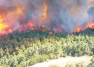 Tarihi Gelibolu Yarımadası’ndaki ormanlık bölgede yangın: 300 hektarlık alan yandı, 3 köy boşaltıldı