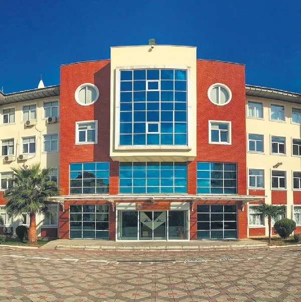 Matematiğin Kartal’ı