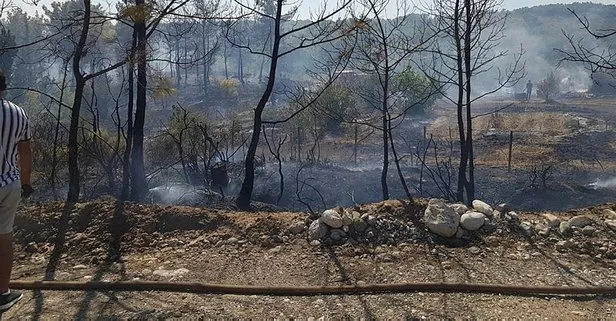 Manavgat’ta söndürülmeyen mangal ateşi, ormanı yaktı