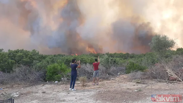 SON DAKİKA: Antalya Manavgat alevlere teslim oldu! İşte yürek yakan kareler - 7