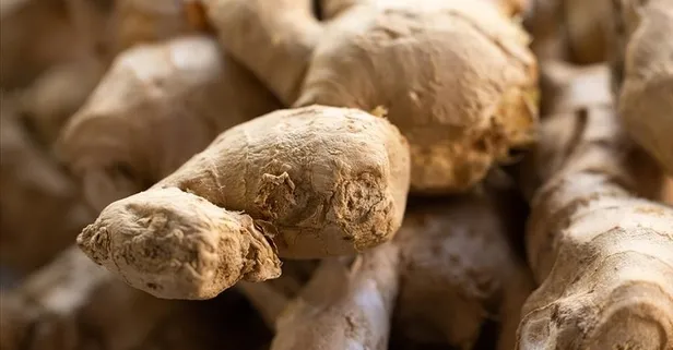 Şifa deposu zerdeçalın faydaları nelerdir? Nelere iyi gelir?