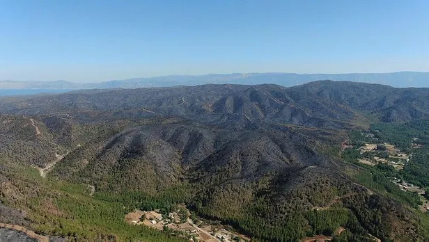 Marmaris'teki orman yangını 5'inci gününde! Bakan Kirişci açıkladı: Yangın kontrol altına alındı-3