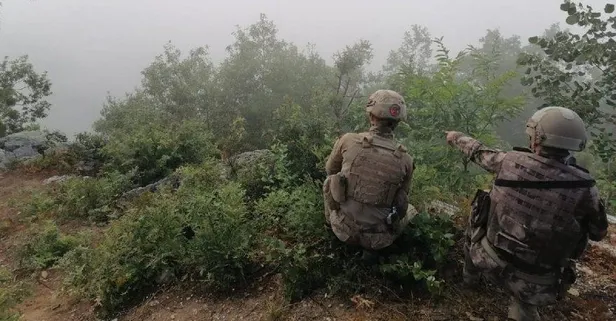Terör örgütü PKK'ya karşı "Yıldırım-5 Amanoslar" Operasyonu başlatıldı