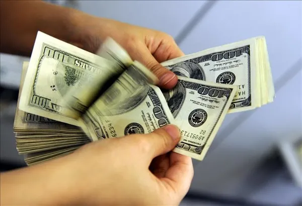 1605592460583.jpg SON DAKİKA! Yurt dışından altın, dolar ve euro... Resmi Gazete'de yayımlandı-2