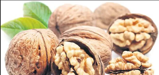 Akıl sağlığına ceviz