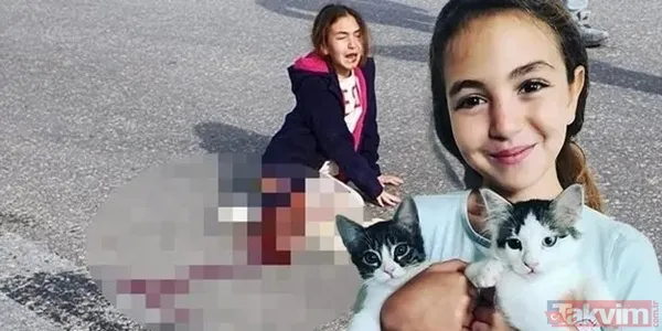 5 yılda çok canımız yandı! 2019'dan günümüze verilerle 'sokak köpeği' sorunu: Yitip giden canlar, kuduz vakaları, vurguncu mama lobisi - 13
