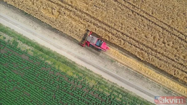 Tarım ve Orman Bakanlığı 200 PERSONEL ALIMI: Sözleşmeli personel alımı başvurusu ne zaman, nasıl, hangi branşlarda yapılacak? - 5