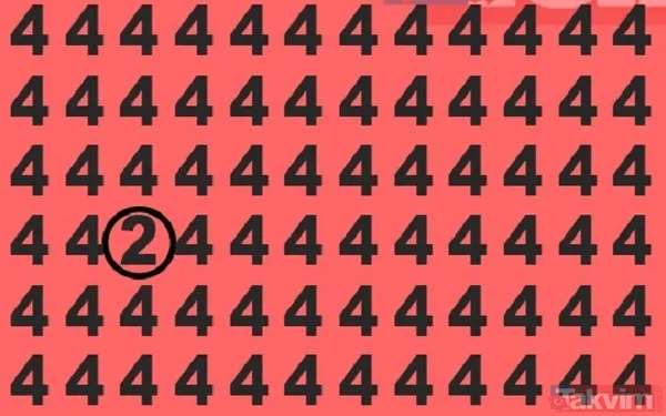 4 rakamıyla dolu fotoğrafta 2'yi bulabilir misin? Ve süre başladı! Bu pazar bulmacasını insanların yalnızca %8'i 10 saniye altında çözebilir! - 6