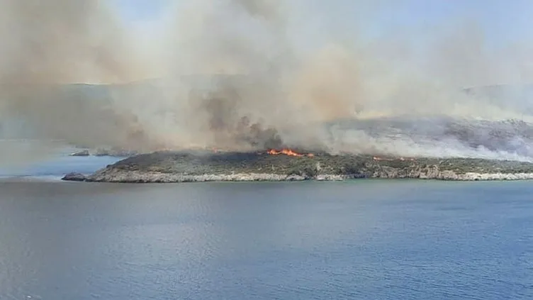 Son dakika: İzmir Urla'da yangın!