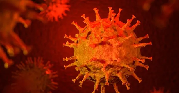 Bu hastalık koronavirüsten daha ölümcül! Vücudun çeşitli bölgelerinde...