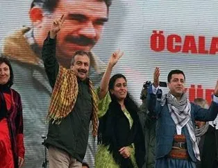 HDP’den PKK’ya akaryakıt desteği!