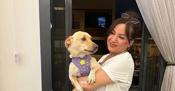 Şiddet mağduru Hayat’a Almanya’da yeni bir hayat