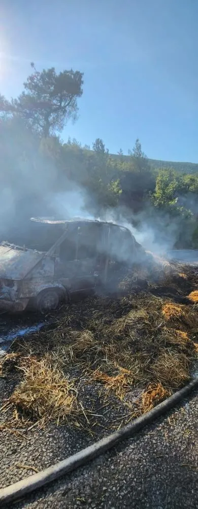 1692543960077.jpeg Balıkesir'in Kepsut ilçesinde orman yangını! Tarım ve Orman Bakanı İbrahim Yumaklı açıkladı: Yangın kontrol altında-2