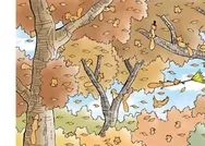 Eğer 45 saniyede 15 ve üzeri sincap görebilirseniz... Resimdeki 24 sincabı kimse bulamıyor!