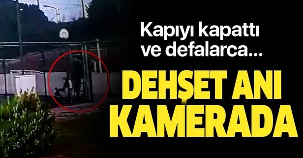 Görüntüler İstanbul’dan! Köpeğe eziyet kamerada: Defalarca tekmeleyerek darp etti
