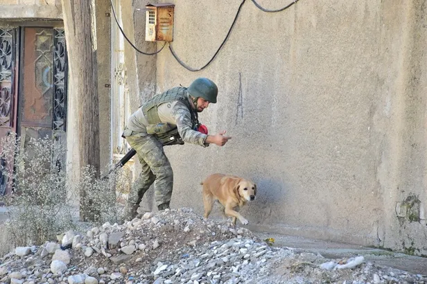 MSB'den Barış Pınarı Harekatı açıklaması: 923 EYP ile 337 mayın etkisiz hale getirildi-4