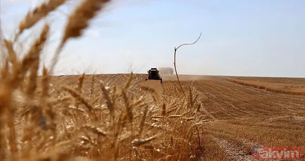 "Tarım öldü" diyenleri ters köşe yapacak rakamlar! Bakanlık sağladığı desteklerle organik üretim ve tüketimi artırıyor - 7
