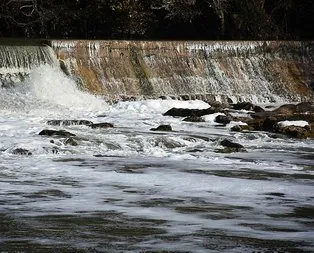 İhbar yağdı, yetkililer harekete geçti