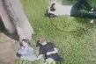 Taksim Gezi Parkı’nda film gibi hırsızlık: Uyuyan adamın yanına sürünerek yaklaşıp telefonunu çaldı!