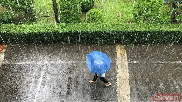 Yağmur rekoru kırıldı! Dünyanın en yağışlı 10 ülkesi açıklandı - 2