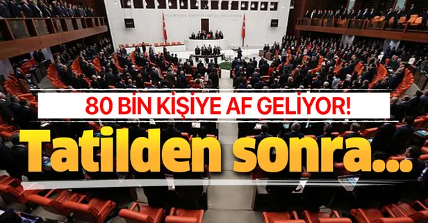 Tatilden sonra Meclis'te olacak! 80 bin kişiye af geliyor