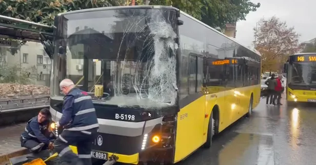 Yine facia yine İETT! Önce minibüse sonra kafeye çarptı