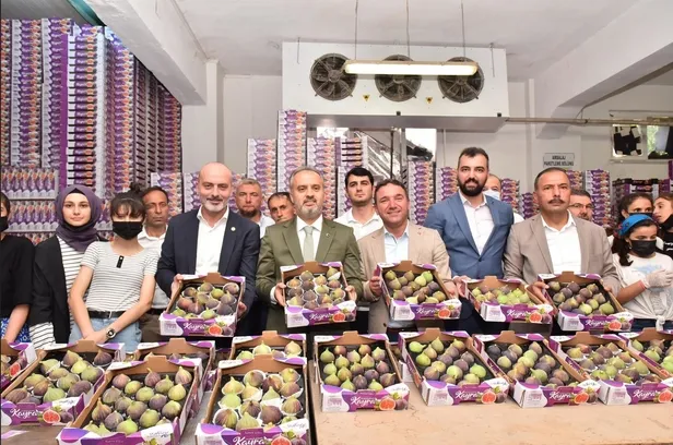Bursa Büyükşehir Belediyesi'nin tarlada izi var-4