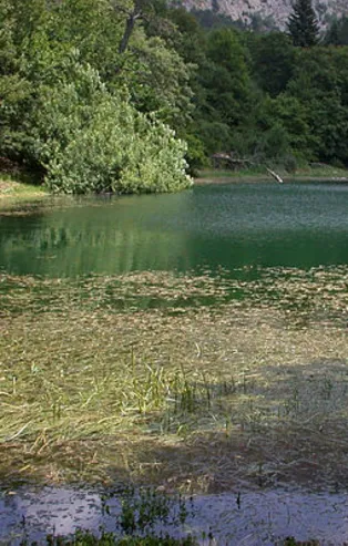 Rüyada ölü görmek ne anlama gelir?