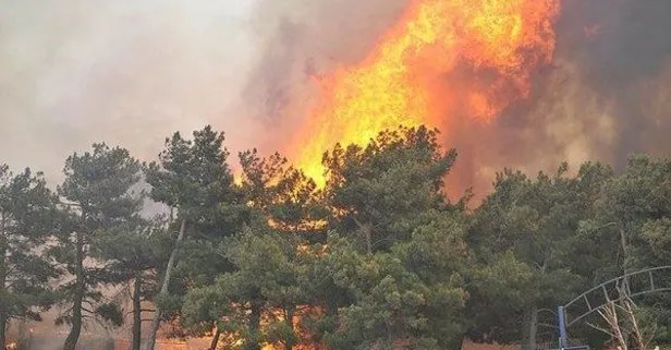 Ciğerlerimiz yandı: Tarım ve Orman Bakanı İbrahim Yumaklı duyurdu: 10 günde 40 ilde 203 orman yangını