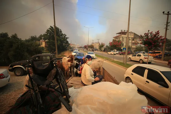 SON DAKİKA: Antalya Manavgat alevlere teslim oldu! İşte yürek yakan kareler - 20