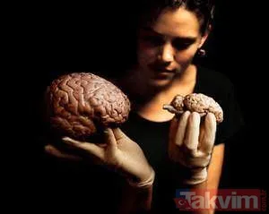 Bir Kadın Beyni Dakikada 100 Milyon Bilgi Alabilir. Günde 7 Milyon Beyin Hücresi Kullanan Kadın, Ortalama 7,5 Saat Uyur. Ömrünün 6 Yılı Rüyada Geçer.