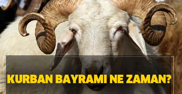 takvim gazetesi