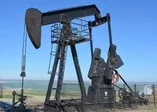 Siirt'te 11 milyon varil petrol bulundu!