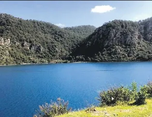 Mandıra değil magazin filozofları!