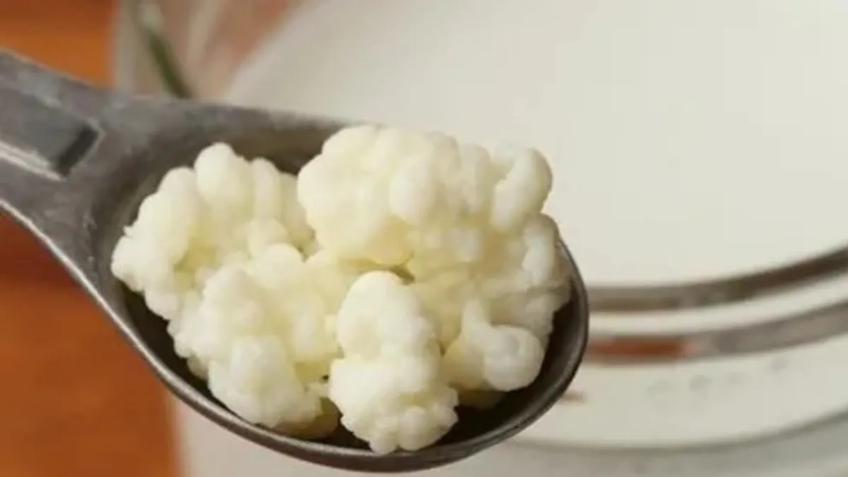 Bağırsak dostu kefir!