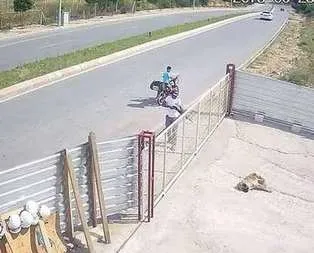 Pompalı tüfekle köpek katleden şahıs yakalandı