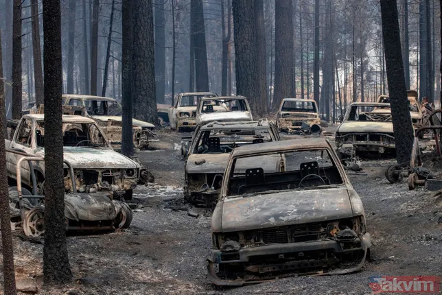 ABD’nin California eyaleti alev alev! 50 binden fazla hanede elektrik yok