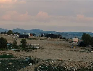 İsrail, Filistin köyünü 183’üncü kez yıktı