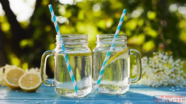 Her şey 2 bin 500 yıl önce başladı kimse böylesini beklemiyordu! Her derdin devası o hastalığı bile tarihten sildi - 24