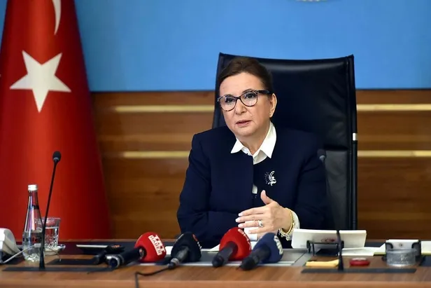 Son dakika: Yabancı plakalı araçlar için önemli açıklama: Ticaret Bakanı Ruhsar Pekcan duyurdu-1