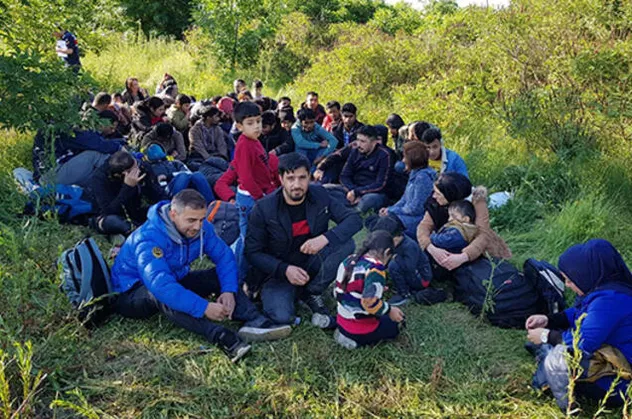 Ormanda böyle yakalandılar