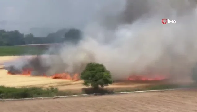 Çanakkale'de ziraat yangını ormana sıçradı