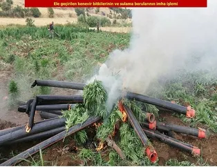 Tarihi operasyon! Rekor uyuşturucu ele geçirildi