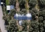 Jandarma koruyor! İznik'te lahit tarlası