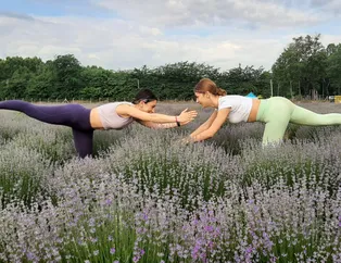 Edirne'de lavanta tarlasında yoga