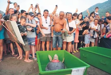 Tam 9 milyon kişi izledi! Caretta Caretta Tuba 50 ayda 28 bin kilometre yol katetti
