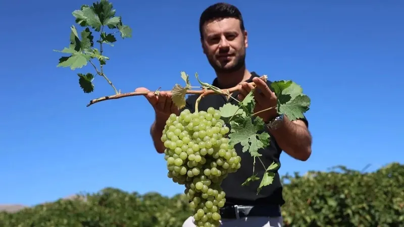 muhendisligi-birakti-simdi-maasinin-4-5-katini-kazaniyor-1735580220759.jpeg Mühendisliği bıraktı şimdi maaşının 4-5 katını kazanıyor-3