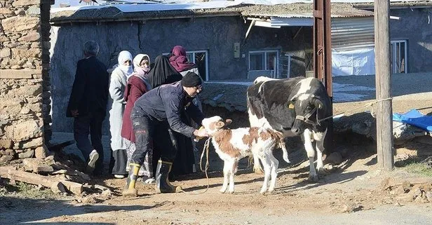 Depremde hayvanları telef olan vatandaşlara destek