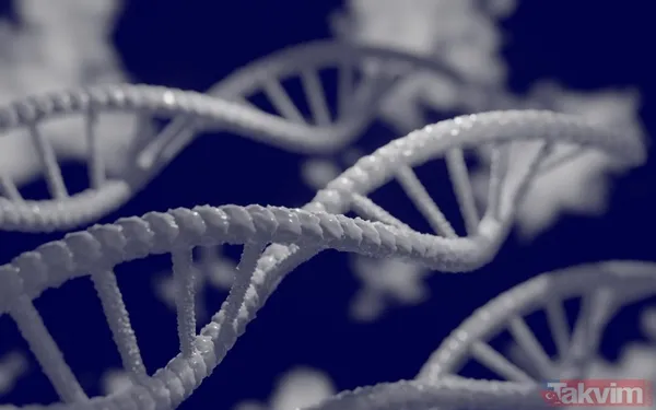 Aile bağlarındaki gerilimin etkileri daha güçlü Araştırmanın en çarpıcı sonuçlarından biri stres kaynağının kim olduğuyla ilgili. Eğer sizi huzursuz eden...